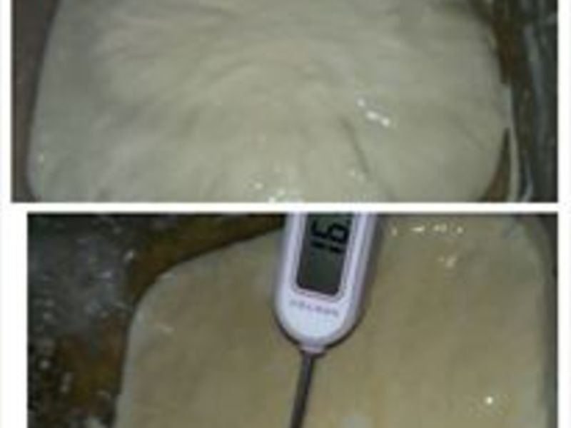 ������Ȼ��ĸũ�����������