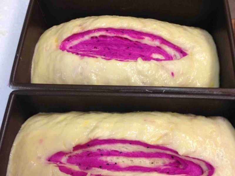 ��Ȼ��������ɫ��-������˫ɫ��˾������