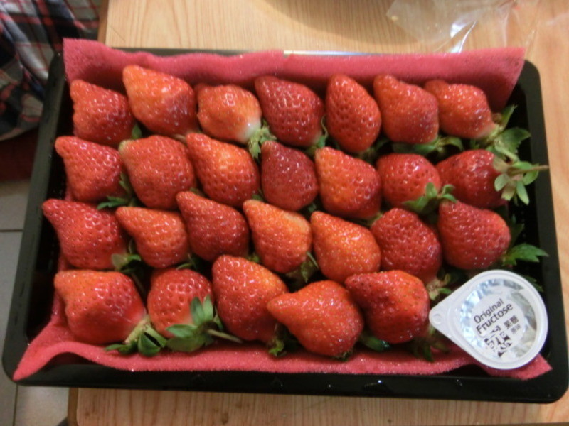 ����ݮ�Ͱ�ӥ�����̡�������������������ݮ����?��������