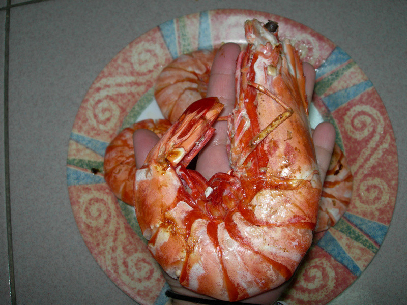 �ο�Ϻĸ������