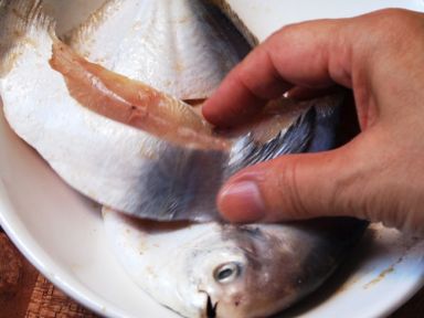 ����ʳ�� - �����������