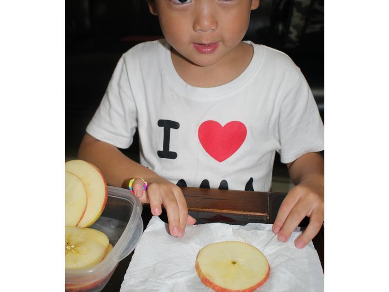 ͣ���˿ڵġ�ƻ�������������