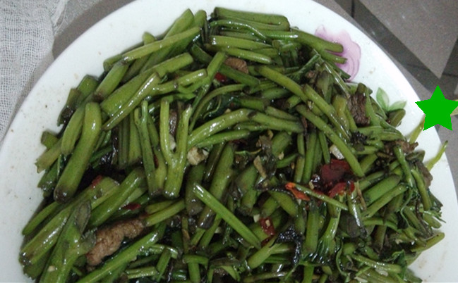 С������Ҷ��������