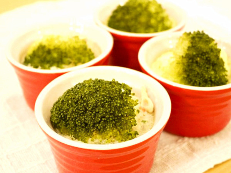 ����������-��Ҭ�����������ѵ�����