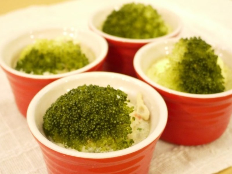 ����������-��Ҭ�����������ѵ�����