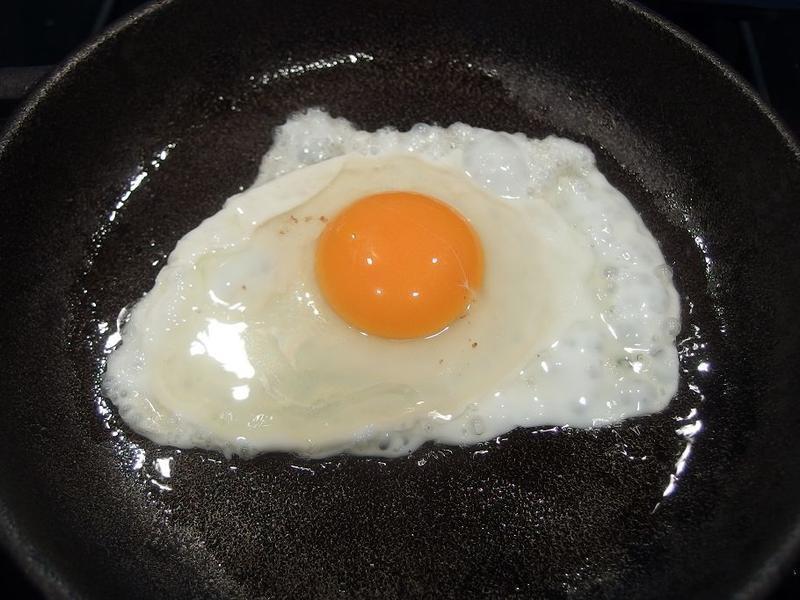 �����������Ρ�������