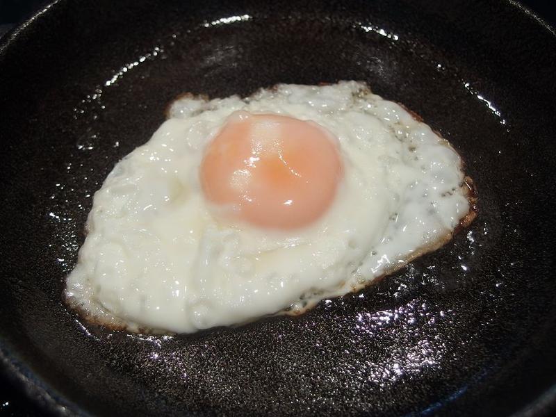 �����������Ρ�������