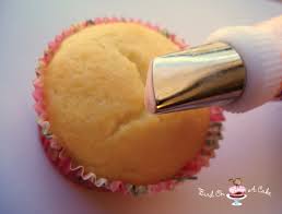 ����ֽ�����������