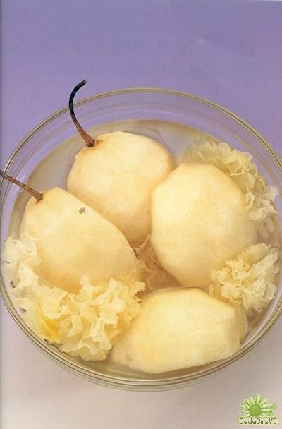 ������ѩ�������