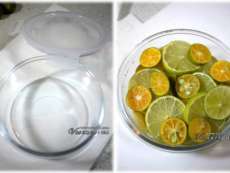 �����ս����衾VICI�����˳�����������