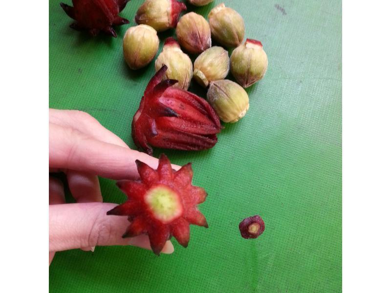 ���Z������(��������ȥ��)������