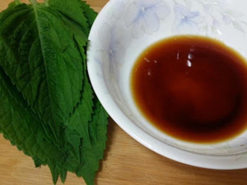 �Z��֥��Ҷ������