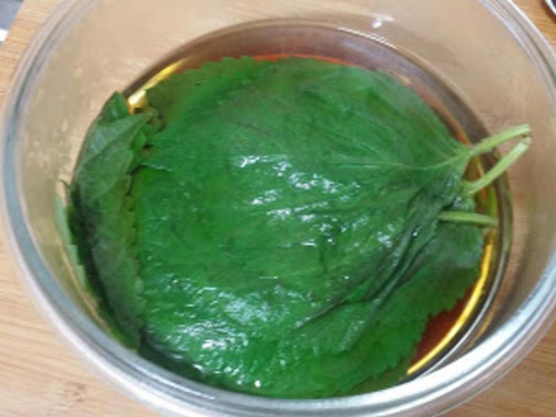 �Z��֥��Ҷ������