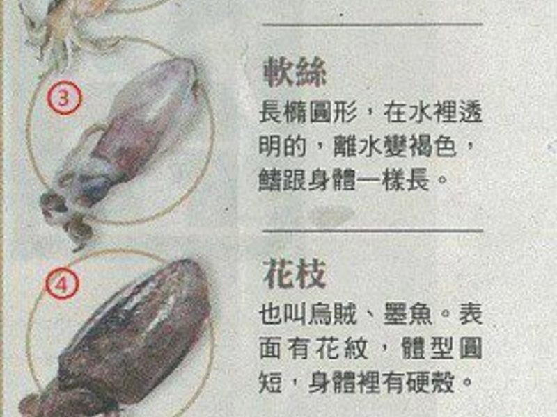 ?С��������?������������������