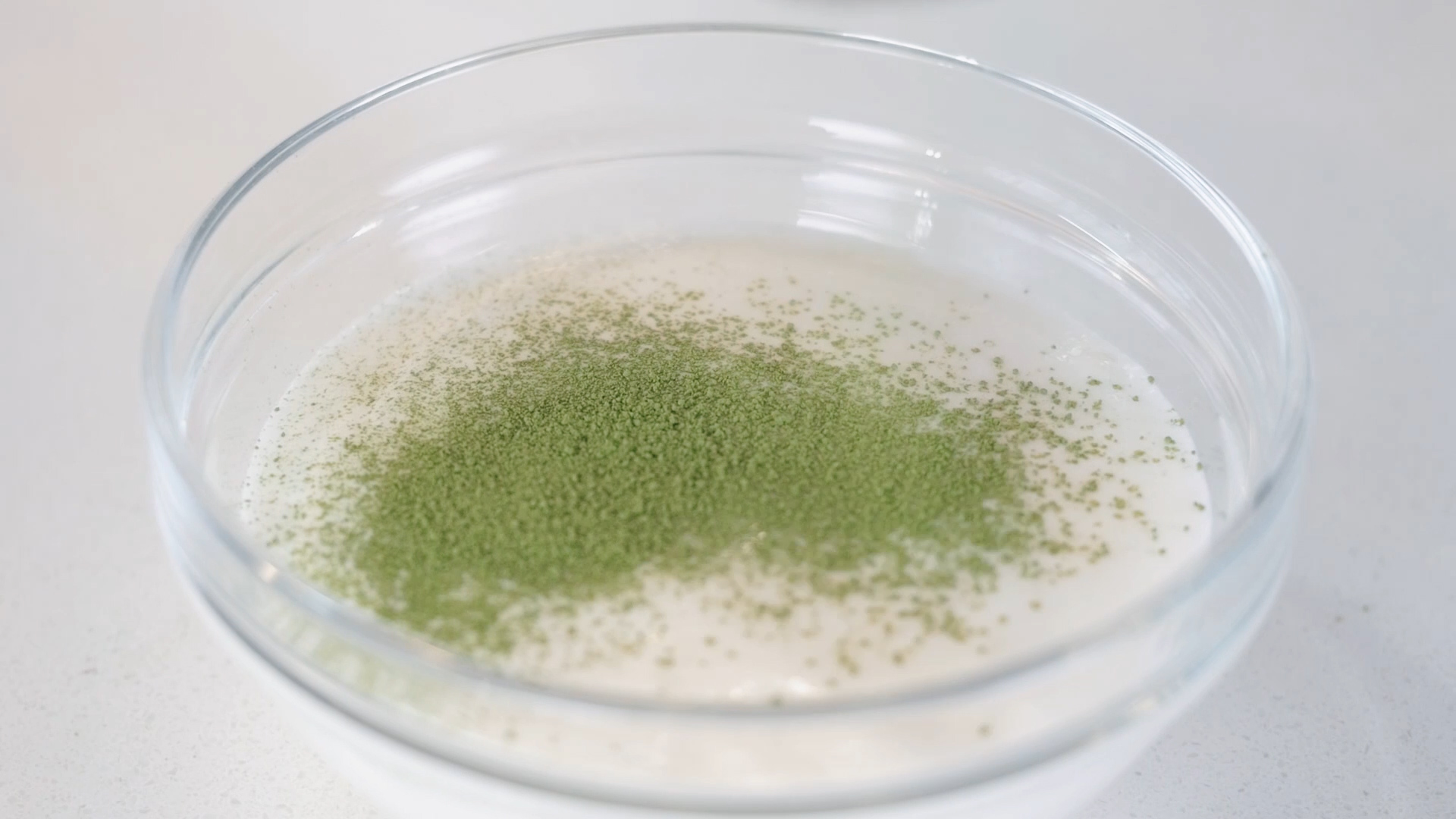 �ɿ�����Ƥѩ�⡾��ζ�ռǡ�������