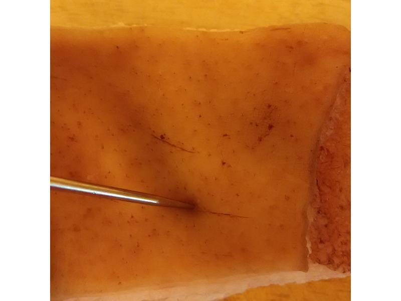 ��ը����ʳ~~��Ƥ���������