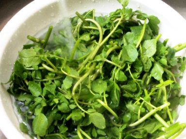 ������ˮʳ�� - �������������