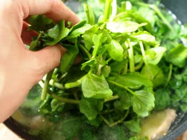 ������ˮʳ�� - �������������