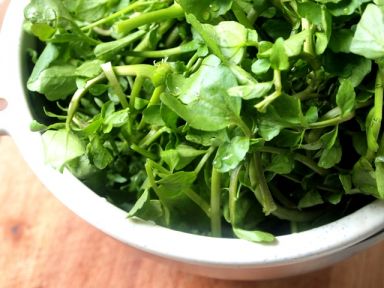 ������ˮʳ�� - �������������