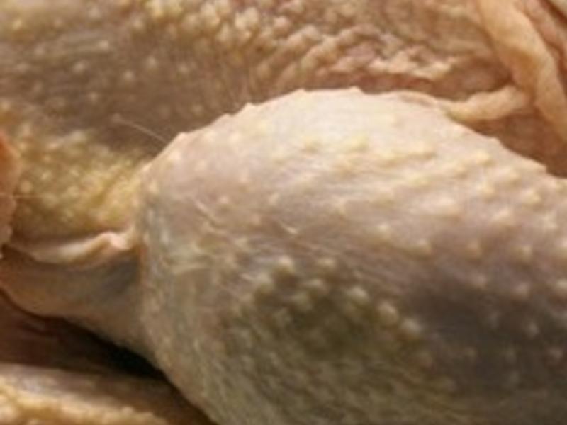 ������͵�����