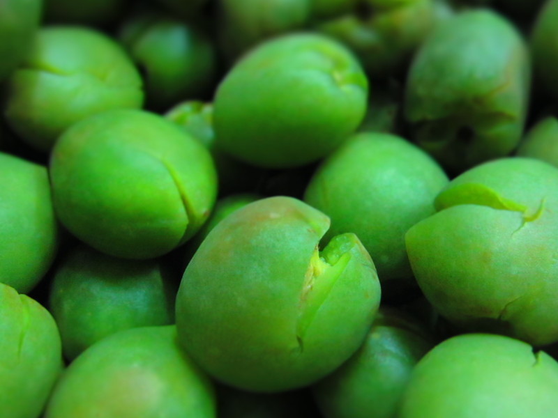 ��÷�����������