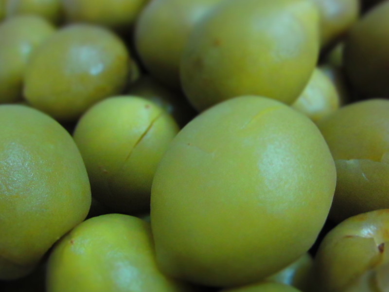 ��÷�����������