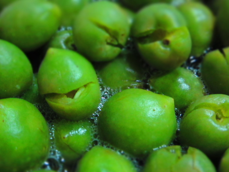 ��÷�����������