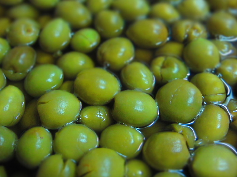 ��÷�����������