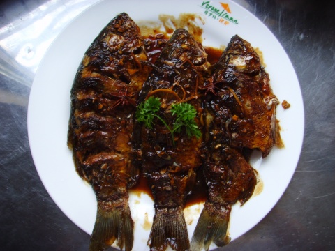 �Ǵ����������