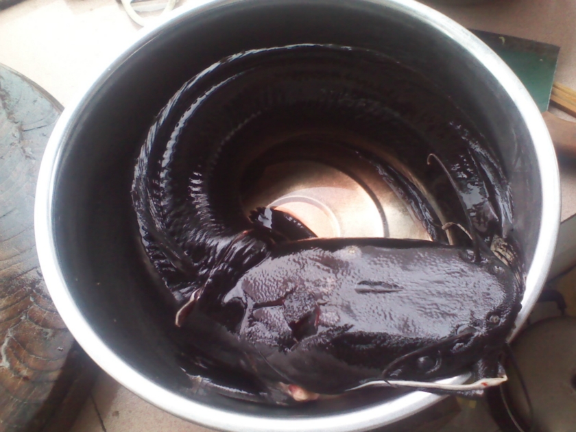 ������������