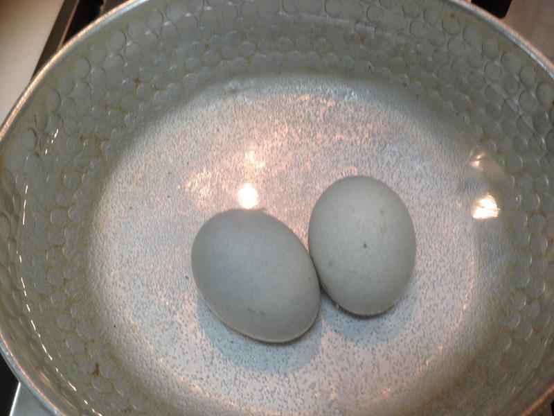 ����˫��Ƥ��������