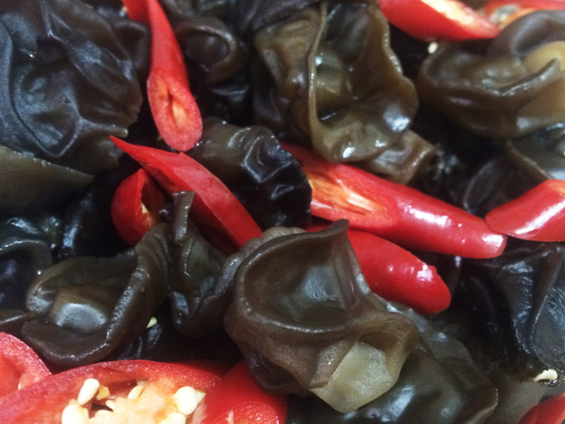 ����ľ����������ʽ�����������