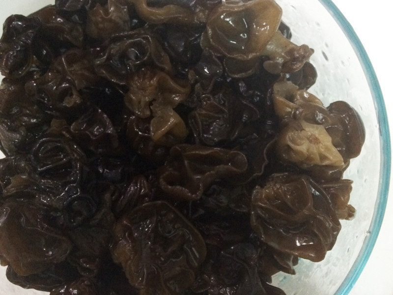 ����ľ����������ʽ�����������