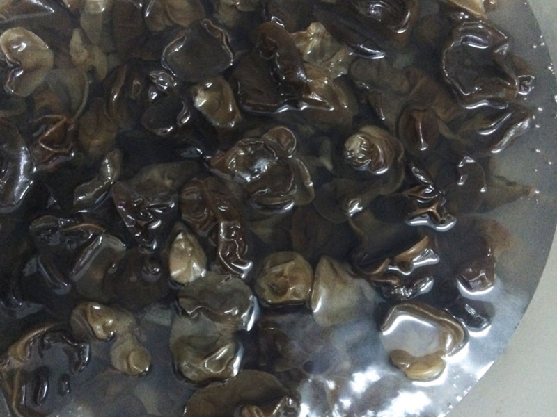 ����ľ����������ʽ�����������