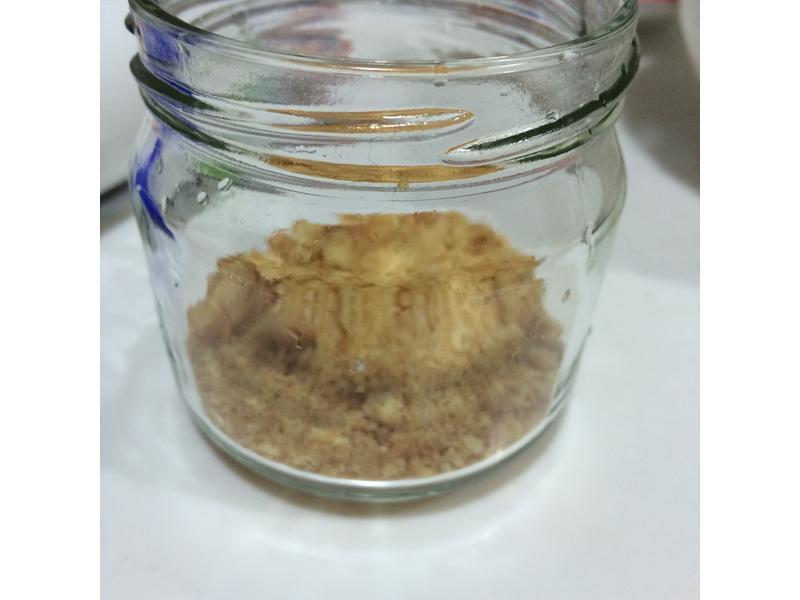 ��ݮľ������������