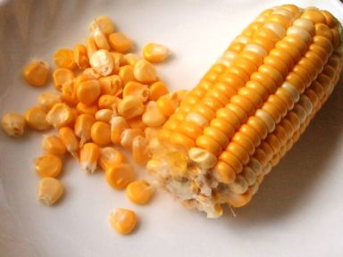 ��������������������