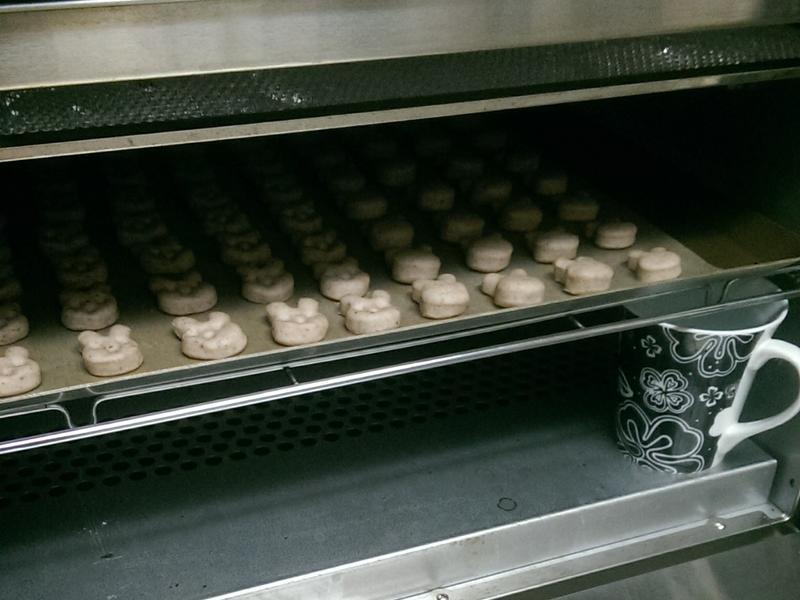 �춹ţ������������