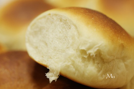 ������ţ�̰�������