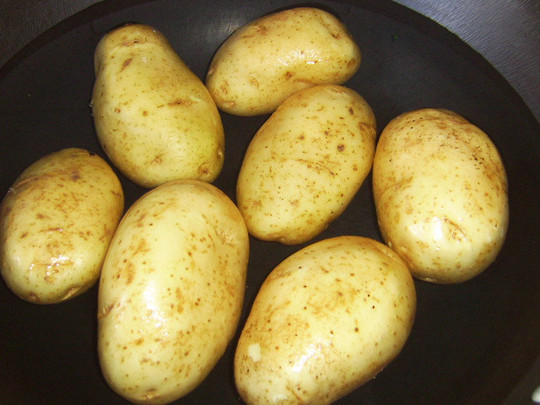 ��������������������