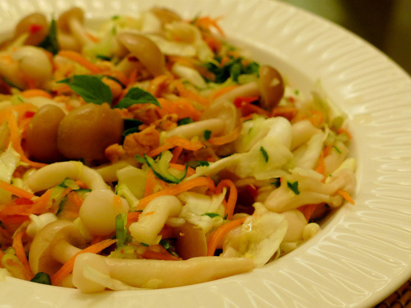 ̩ʽ�������蹽��������