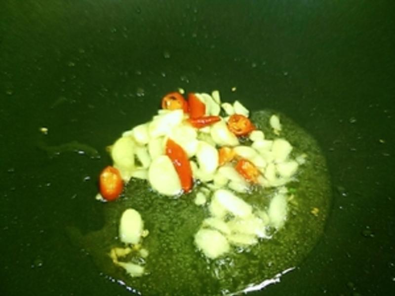 ������Ϻ������