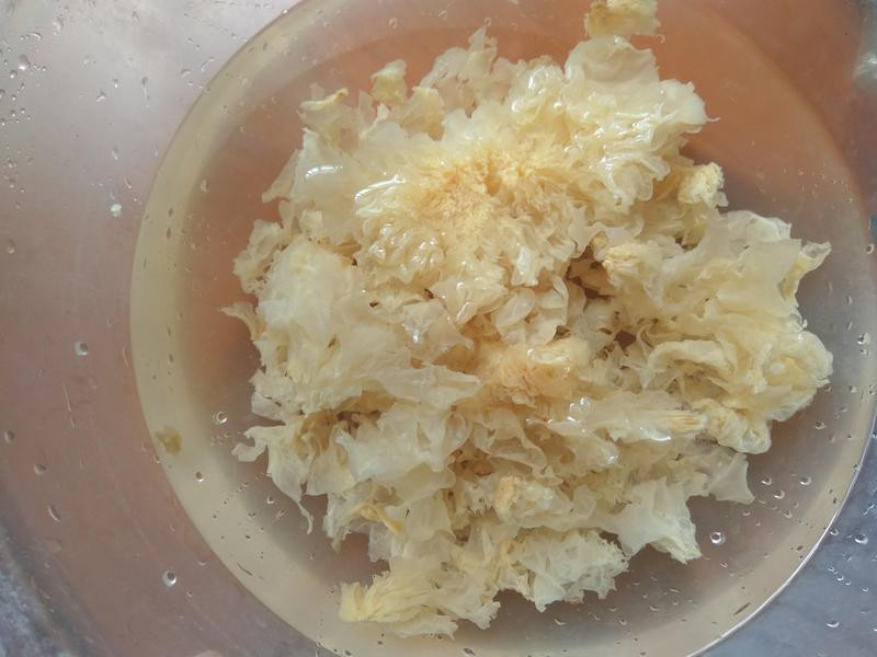 ��������ľ��������