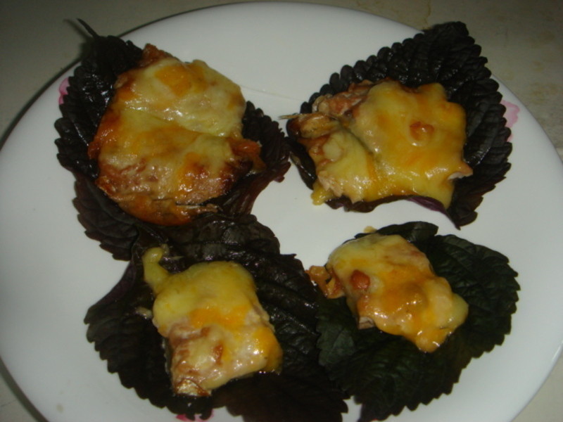 �h�������ﵶ�������