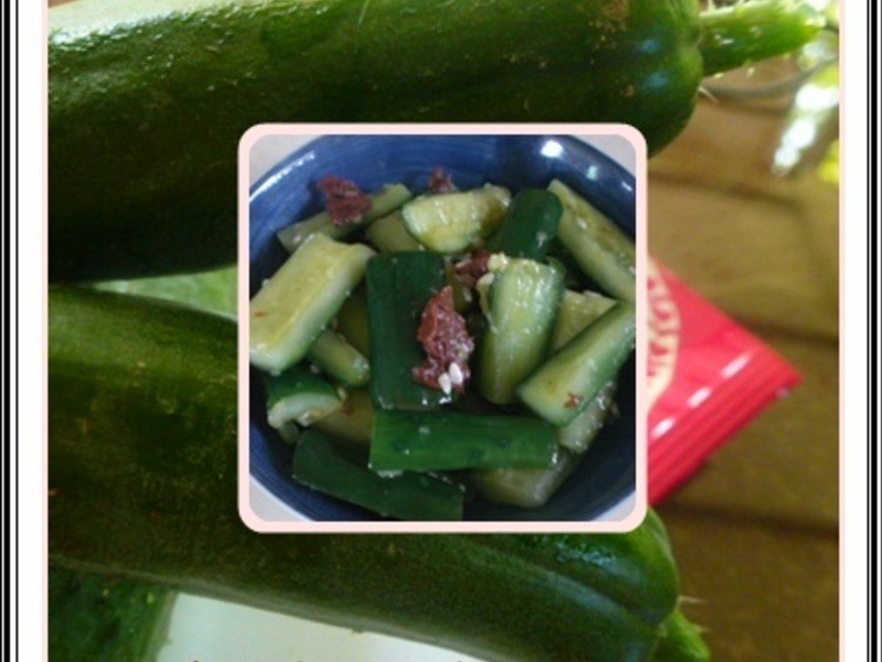 ÷������С�ƹϵ�����