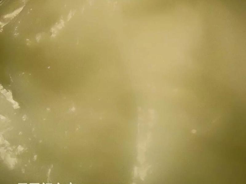 Ҭ�������� ����ѩ����(����������)������