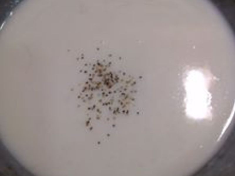 �׽��߲˺����������