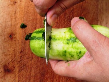 ����ڹ��̵���������