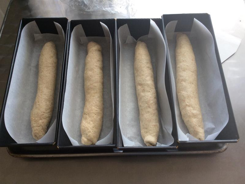 ȫ���������������