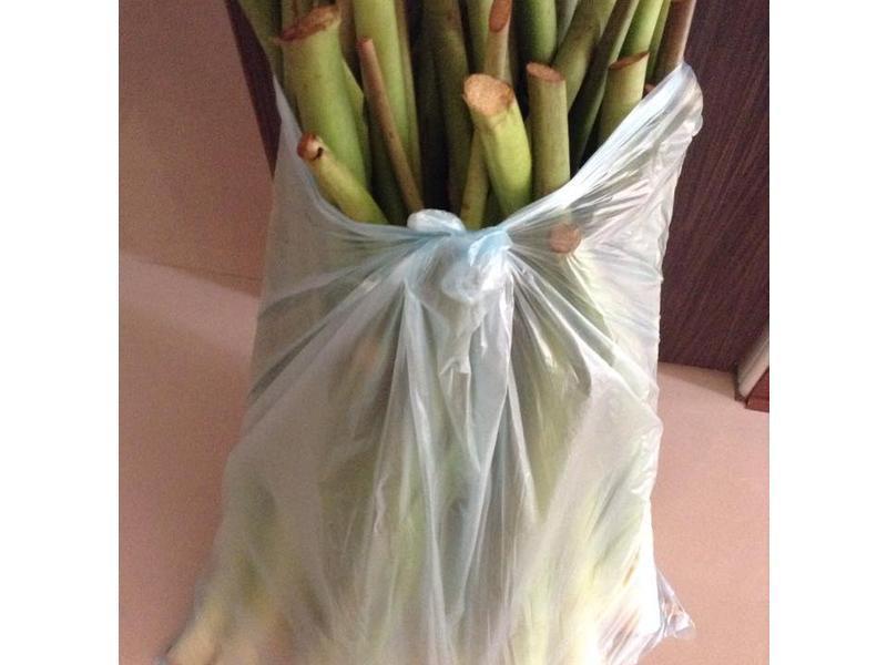 ���潴����������