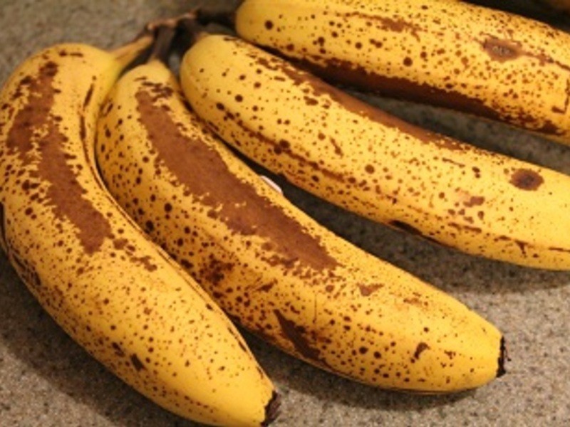 �����㽶���ҵ��������